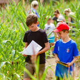 Summer Maize Maze & Funyard