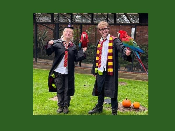 General admission and Halloween