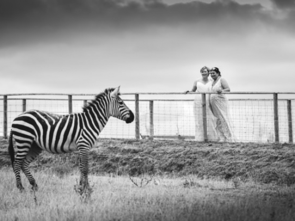 Wedding Open Evening