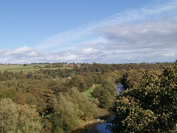 Autumn Photography Special