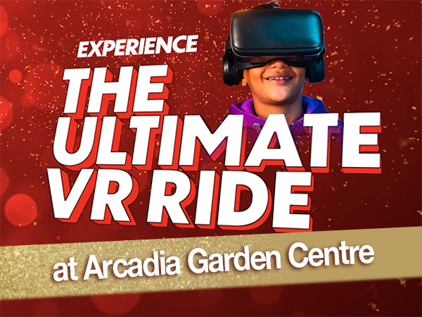 Virtual Reality Ride at Arcadia