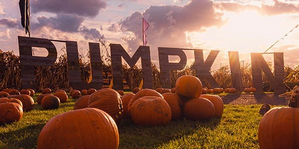 Pumpkin Village