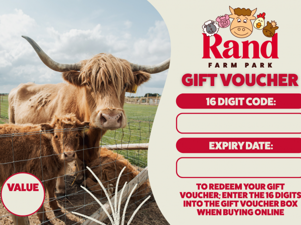 12 Month Digital Gift Voucher