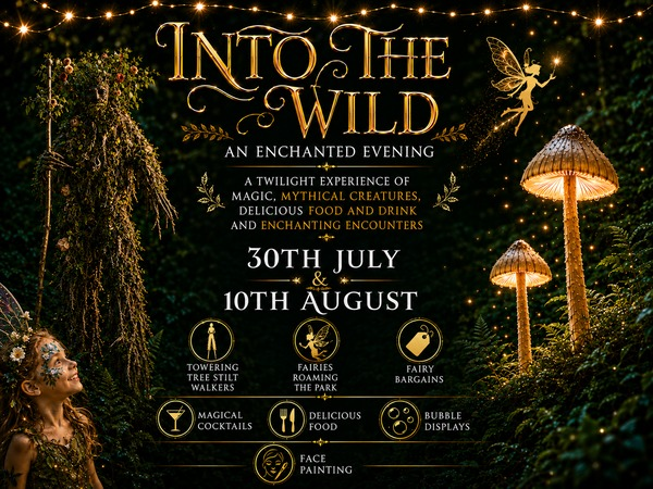 Into the wild - an enchanted evening