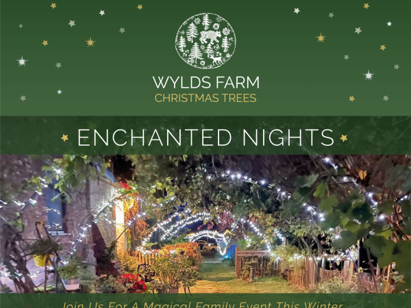 Enchanted Nights at Wylds Farm