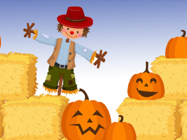 Pumpkin Patch & Spooky Trail Experience