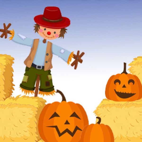 Pumpkin Patch & Spooky Trail Experience