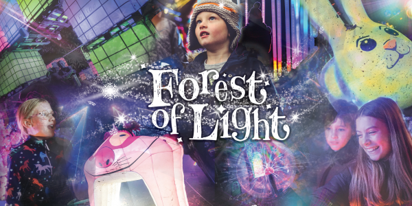 Forest of Light 2024