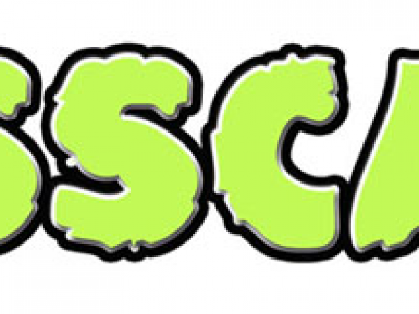 Saloon Stock Car 2026 Licence (SSCA)