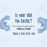 Father's Day - Name a fish