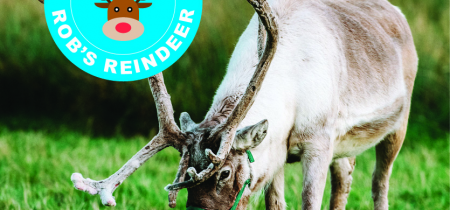 Visit our Reindeer Herd