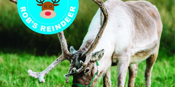 Visit our Reindeer Herd