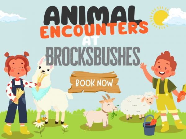 Animal Encounters