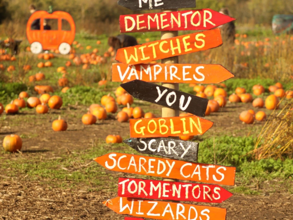 Halloween artwork at High Lodge Farm
