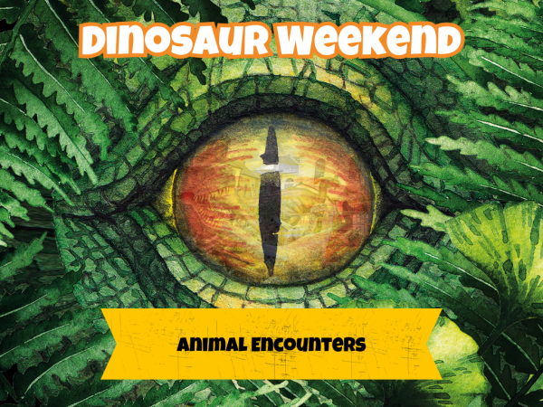 Dinosaur Weekend Animal Encounters