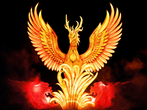 The Festival of Light 2026 - 7 Nov - 10 Jan*