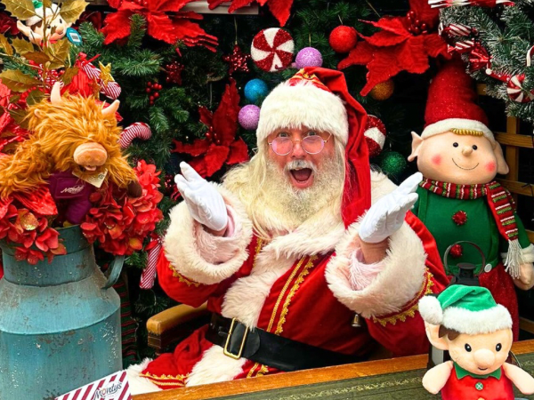 Christmas Magic 2025
