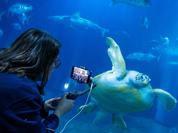 'Summer Fun!' Virtual Tours