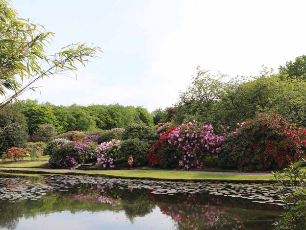The Garden Tour - 8th August 2026