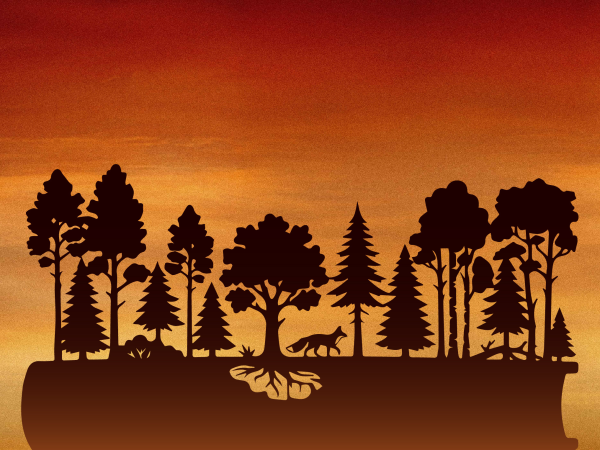 Into the Wood with Poet Will Burns: A family poetry Adventure!