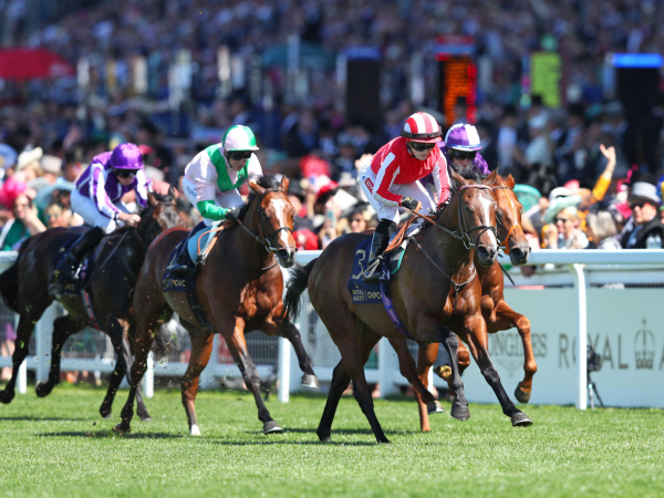 Royal Ascot at Hencote
