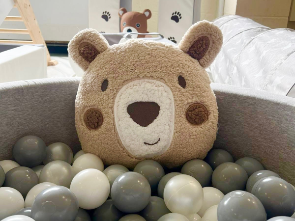Teddy Bear's picnic + soft play