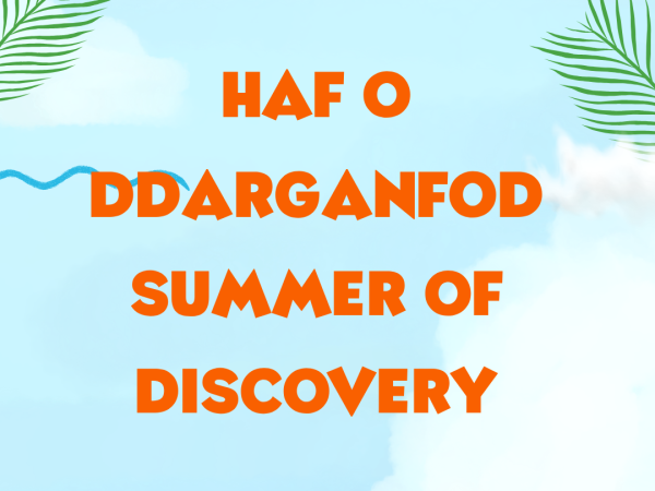Haf o ddarganfod - Summer of Discovery