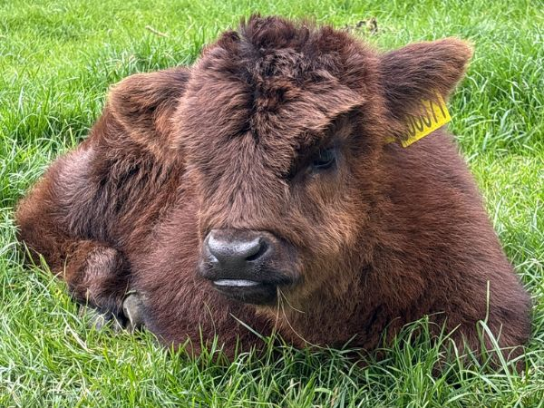 Farm Admission