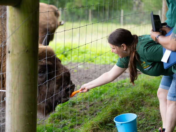 KEEPER EXPERIENCE BOOKINGS