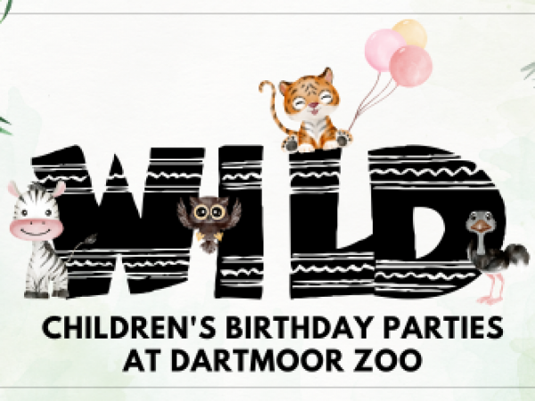 Children's Birthday  Party Add On's