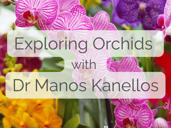 Exploring Orchids