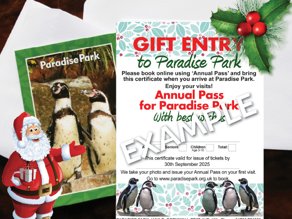 Christmas Gift Vouchers for Annual Passes sent by post