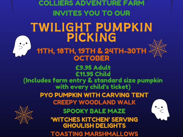 Halloween Twilight 2025