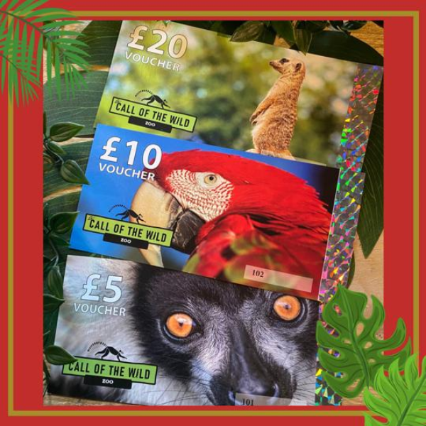 Buy Gift Vouchers Tickets online Call Of The Wild Zoo