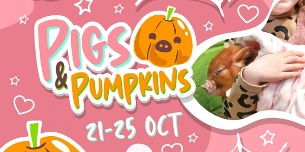 Toddler Pigs & Pumpkins 21st to 25th October