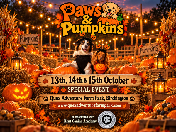 Paws & Pumpkins