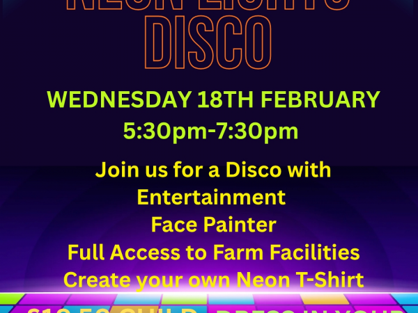 Neon Lights Disco