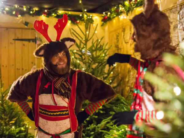 Christmas At Mead Open Farm