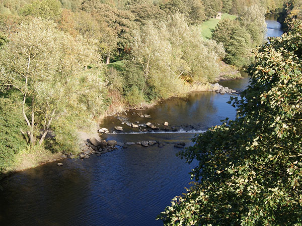 Autumn Photography Special