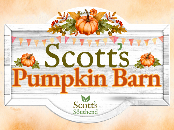 Scott's Pumpkin Barn