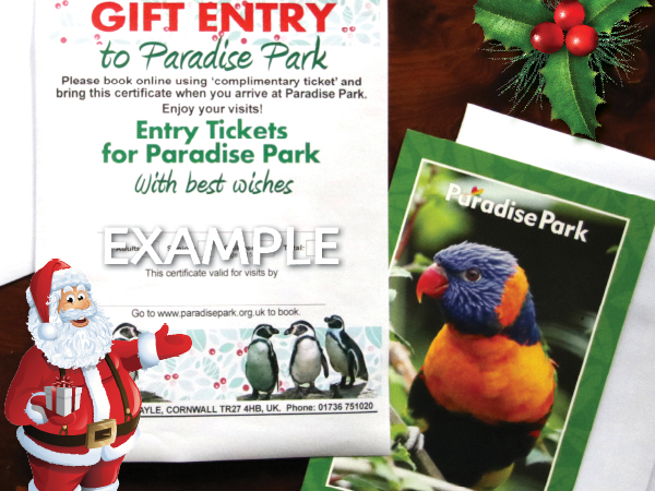 Christmas Gift Vouchers for Day Entry send by post
