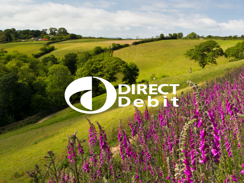 buy-direct-debit-membership-at-heligan-tickets-online-lost-gardens-of