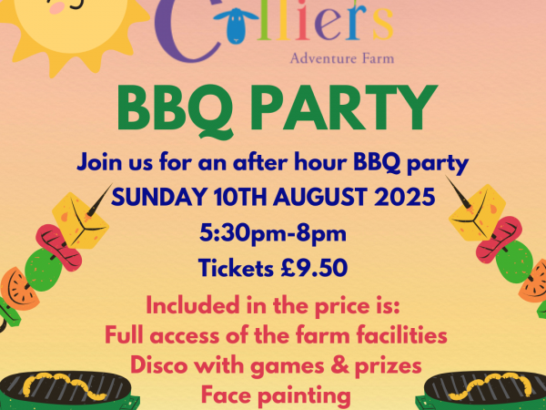 BBQ Party