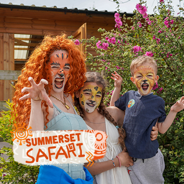 Summerset Safari