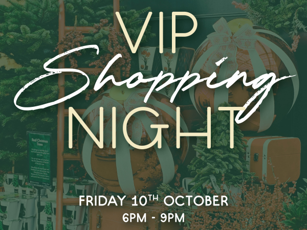 Christmas VIP Shopping