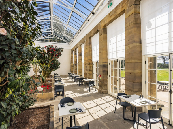 The Camellia House | RHS Flower Show