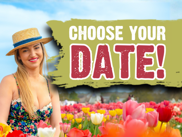 Phase 1 - Choose a Date - Tulleys Tulip Fields Hertfordshire 2026