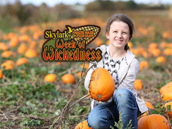 Week of Wickedness - Halloween Maze & Funyard