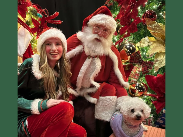 Santa-Paws