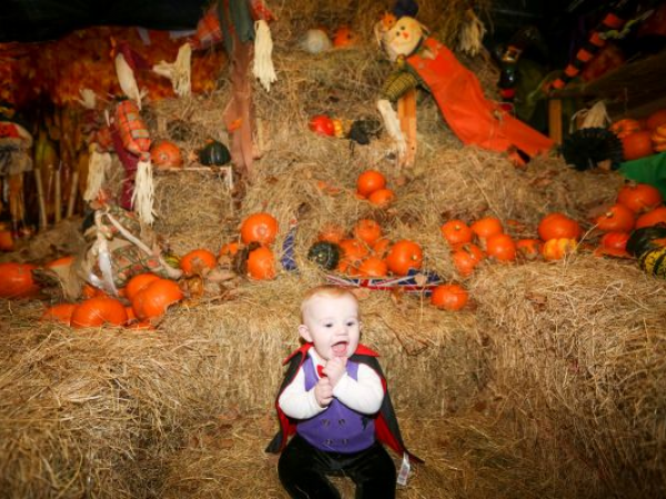 Farm Tots - Halloween Specials